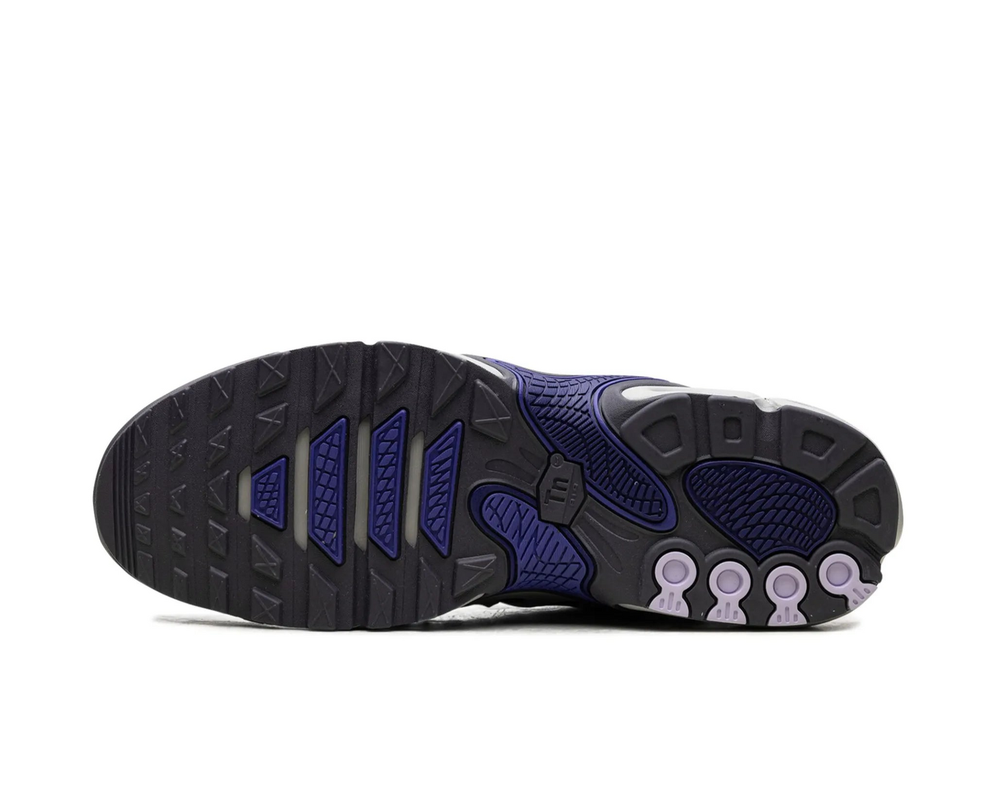 Nike Air Max Plus Drift "Concord" sneakers