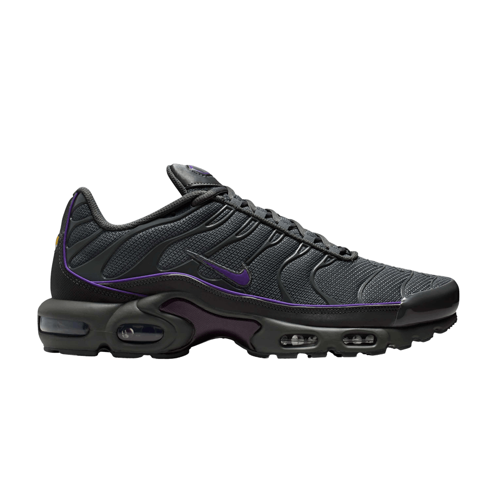 Nike Air Max Plus Iron Grey Wild Grape – HV8066-001-41 – product image