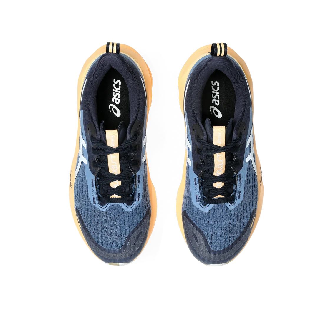 ASICS Novablast 5 Lite Show Orange Glow (Women's)