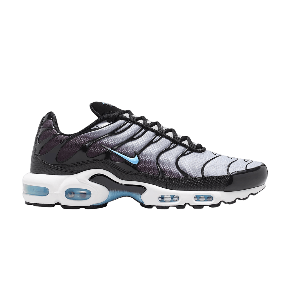 Nike Air Max Plus Black Light Smoke Grey – DM0032-042-41 – product image