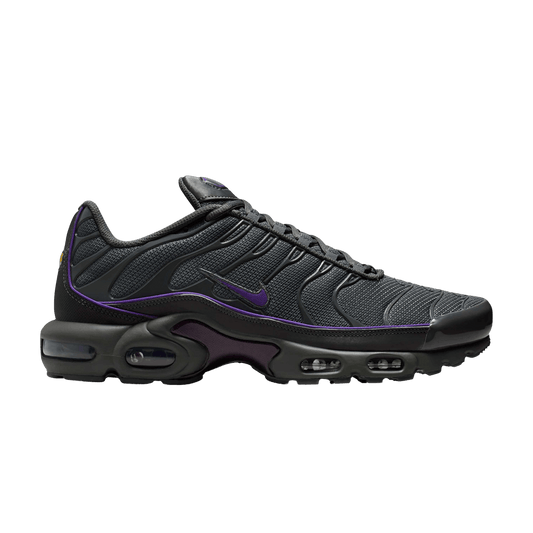 Nike Air Max Plus Iron Grey Wild Grape – HV8066-001-41 – product image