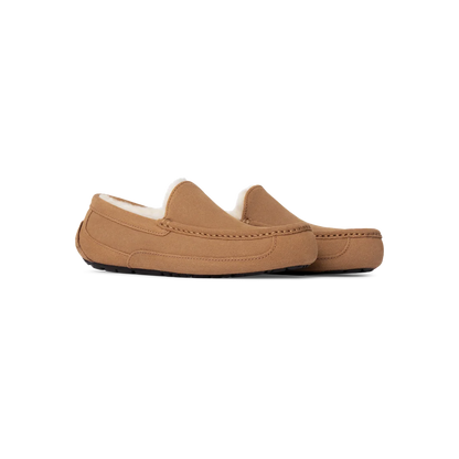 UGG Ascot Slipper Chestnut