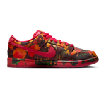 Nike SB Dunk Low Pro The Wizard of Oz